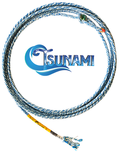 SOGA TSUNAMI